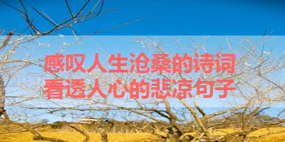 感叹人生沧桑的诗词 看透人心的悲凉句子