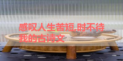 感叹人生苦短,时不待我的古诗文 