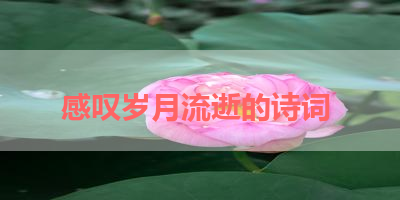 感叹岁月流逝的诗词 