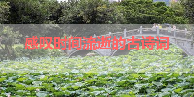 感叹时间流逝的古诗词 