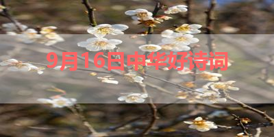 9月16日中华好诗词 