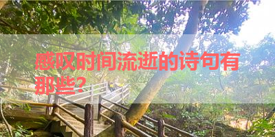 感叹时间流逝的诗句有那些？ 