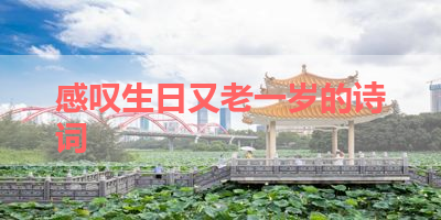 感叹生日又老一岁的诗词 