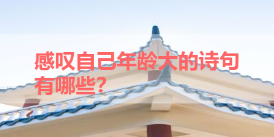 感叹自己年龄大的诗句有哪些？ 