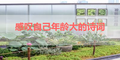 感叹自己年龄大的诗词 