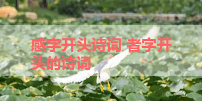 感字开头诗词 者字开头的诗词