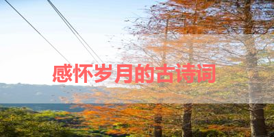 感怀岁月的古诗词 