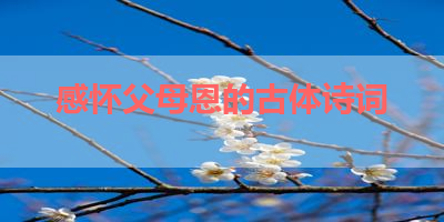感怀父母恩的古体诗词 