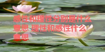 感性和理性分别是什么意思 理性和感性什么意思