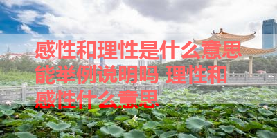 感性和理性是什么意思能举例说明吗 理性和感性什么意思