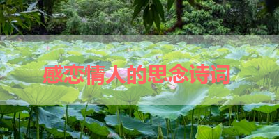 感恋情人的思念诗词 