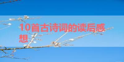 10首古诗词的读后感想 