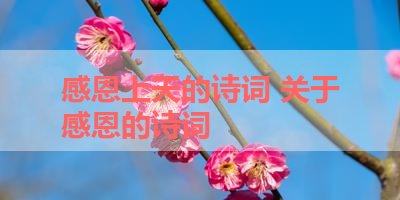 感恩上天的诗词 关于感恩的诗词