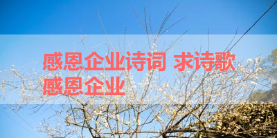 感恩企业诗词 求诗歌感恩企业 