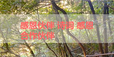 感恩伙伴 诗词 感恩合作伙伴