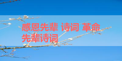 感恩先辈 诗词 革命先辈诗词