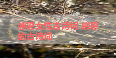 感恩女性古诗词 感恩的古诗词