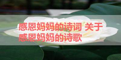 感恩妈妈的诗词 关于感恩妈妈的诗歌
