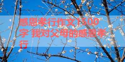 感恩孝行作文1500字 我对父母的感恩孝行