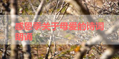 感恩季关于母爱的诗词朗诵 