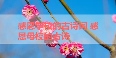感恩学校的古诗词 感恩母校的古诗