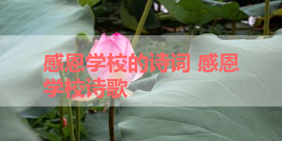 感恩学校的诗词 感恩学校诗歌 