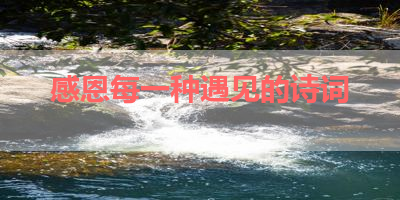 感恩每一种遇见的诗词 
