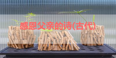 感恩父亲的诗(古代) 