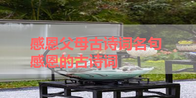 感恩父母古诗词名句 感恩的古诗词