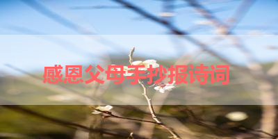 感恩父母手抄报诗词 