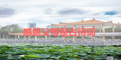 感恩父母是古诗词 