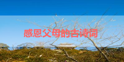 感恩父母的古诗词 