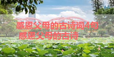 感恩父母的古诗词4句 感恩父母的古诗