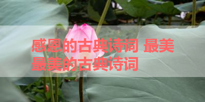 感恩的古典诗词 最美最美的古典诗词
