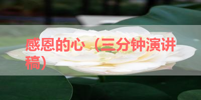 感恩的心（三分钟演讲稿） 