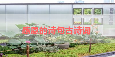 感恩的诗句古诗词 