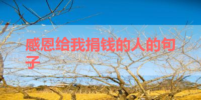 感恩给我捐钱的人的句子 