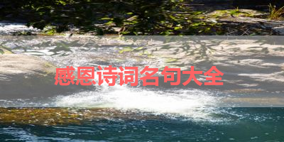 感恩诗词名句大全 