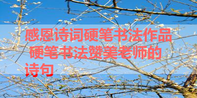 感恩诗词硬笔书法作品 硬笔书法赞美老师的诗句 