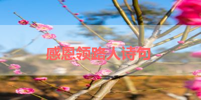 感恩领路人诗句 