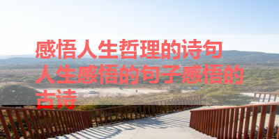 感悟人生哲理的诗句 人生感悟的句子感悟的古诗