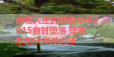 感悟人生的经典句子2015自甘堕落 堕落的句子说说心情