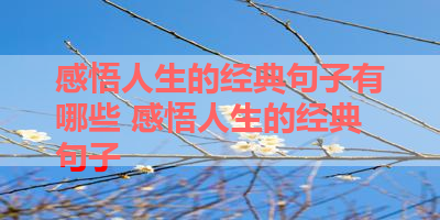 感悟人生的经典句子有哪些 感悟人生的经典句子
