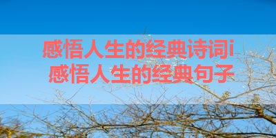 感悟人生的经典诗词i 感悟人生的经典句子 