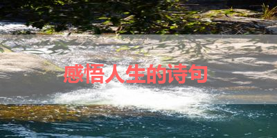 感悟人生的诗句 