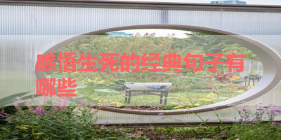 感悟生死的经典句子有哪些 