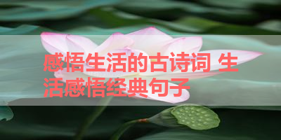 感悟生活的古诗词 生活感悟经典句子