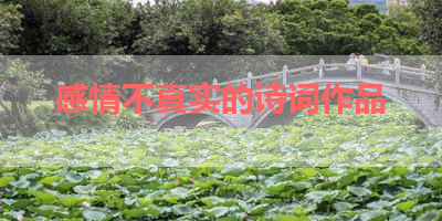 感情不真实的诗词作品 