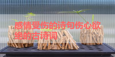 感情受伤的诗句伤心欲绝的古诗词 