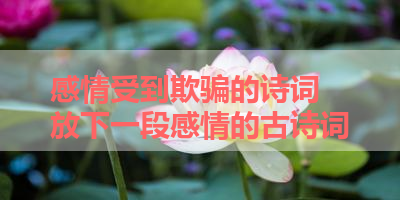 感情受到欺骗的诗词 放下一段感情的古诗词